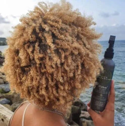 Twist And Set Setting Lotion Coiffante - Design Essentials -Invisibobble® Magasin Twist Set Setting Lotion Design Essentials Natural