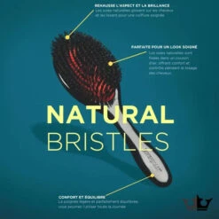 Brosse Pneumatique Poils De Sanglier D82S - Denman -Invisibobble® Magasin brosse denman pneumatique sanglier D82S Boar Brush