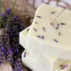 Savon Shampoing Solide BIO Simply Calm - Raw Roots 7 Savon Shampoing Solide BIO Simply Calm - Raw Roots -Invisibobble® Magasin savon corps cheveux solide lavande raw roots