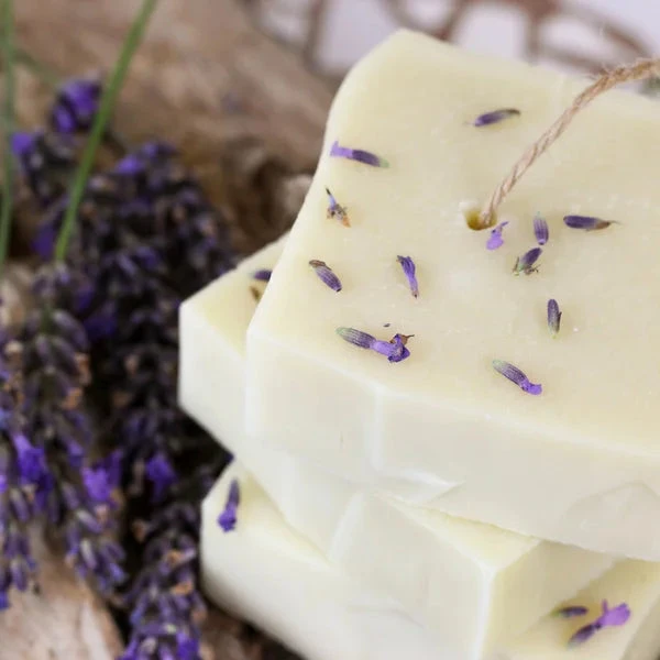 Savon Shampoing Solide BIO Simply Calm - Raw Roots 4 Savon Shampoing Solide BIO Simply Calm - Raw Roots – Image 4